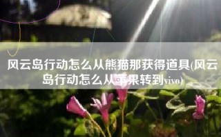 风云岛行动怎么从熊猫那获得道具(风云岛行动怎么从苹果转到vivo)