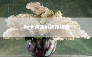 阿卡迪亚刷初始攻略
