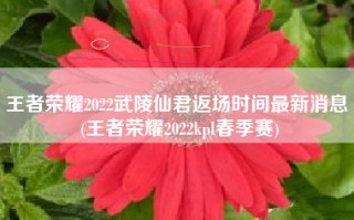 王者荣耀2022武陵仙君返场时间最新消息 (王者荣耀2022kpl春季赛)