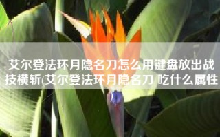 艾尔登法环月隐名刀怎么用键盘放出战技横斩(艾尔登法环月隐名刀 吃什么属性)