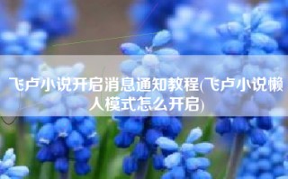 飞卢小说开启消息通知教程(飞卢小说懒人模式怎么开启)