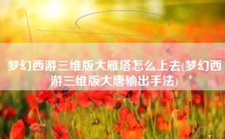 梦幻西游三维版大雁塔怎么上去(梦幻西游三维版大唐输出手法)