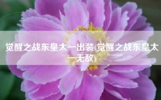 觉醒之战东皇太一出装(觉醒之战东皇太一无敌)