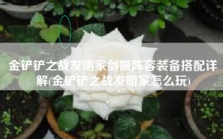 金铲铲之战发明家剑姬阵容装备搭配详解(金铲铲之战发明家怎么玩)