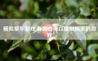 模拟泵车游戏,有哪些可以模拟国家的游戏