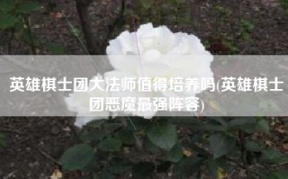 英雄棋士团大法师值得培养吗(英雄棋士团恶魔最强阵容)