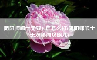 阴阳师呱士无双10层怎么打(阴阳师呱士无双秘闻攻略九)