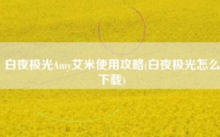 白夜极光Amy艾米使用攻略(白夜极光怎么下载)