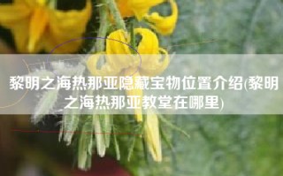 黎明之海热那亚隐藏宝物位置介绍(黎明之海热那亚教堂在哪里)
