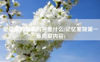 记忆重构隐藏内容是什么(记忆重现第一章隐藏内容)