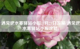 遇见逆水寒驿站小报11月21日答案(遇见逆水寒驿站小报攻略)