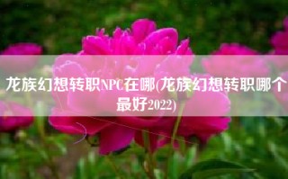 龙族幻想转职NPC在哪(龙族幻想转职哪个最好2022)