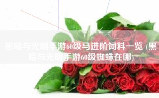 黑暗与光明手游60级马进阶饲料一览 (黑暗与光明手游60级蜘蛛在哪)