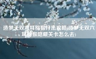 造梦无双六耳猕猴打法攻略(造梦无双六耳猕猴隐藏关卡怎么去)