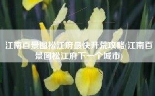 江南百景图松江府最快开荒攻略(江南百景图松江府下一个城市)