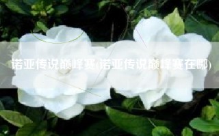 诺亚传说巅峰赛(诺亚传说巅峰赛在哪)