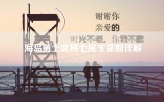 海岛勇士武将七尾玉藻前详解