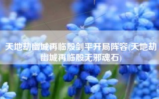 天地劫幽城再临殷剑平开局阵容(天地劫幽城再临殷无邪魂石)