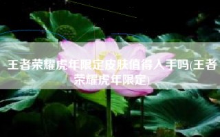 王者荣耀虎年限定皮肤值得入手吗(王者荣耀虎年限定)