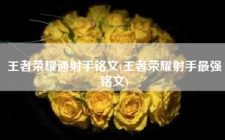 王者荣耀通射手铭文(王者荣耀射手最强铭文)