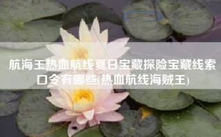 航海王热血航线夏日宝藏探险宝藏线索口令有哪些(热血航线海贼王)