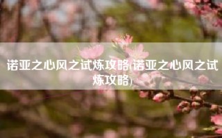 诺亚之心风之试炼攻略(诺亚之心风之试炼攻略)