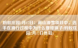 蚂蚁庄园2月17日：高山滑雪项目中，选手在滑行过程中为什么要碰旗子(蚂蚁庄园2月17日拖鞋)