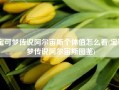 宝可梦传说阿尔宙斯个体值怎么看(宝可梦传说阿尔宙斯图鉴)