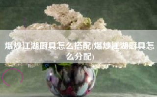 爆炒江湖厨具怎么搭配(爆炒江湖厨具怎么分配)