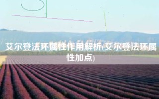 艾尔登法环属性作用解析(艾尔登法环属性加点)