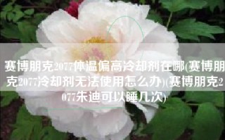 赛博朋克2077体温偏高冷却剂在哪(赛博朋克2077冷却剂无法使用怎么办)(赛博朋克2077朱迪可以睡几次)