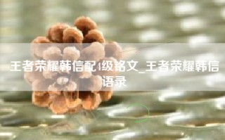 王者荣耀韩信配4级铭文_王者荣耀韩信语录