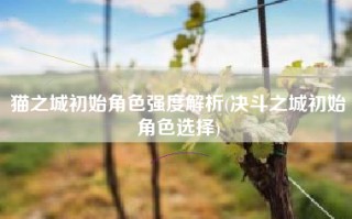 猫之城初始角色强度解析(决斗之城初始角色选择)