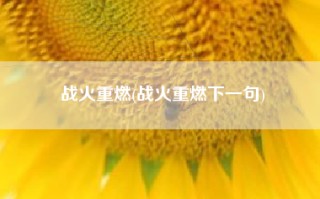 战火重燃(战火重燃下一句)