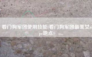 看门狗军团使用技能(看门狗军团最美女npc地点)