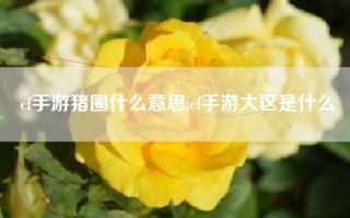 cf手游猪圈什么意思,cf手游大区是什么