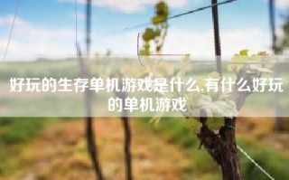 好玩的生存单机游戏是什么,有什么好玩的单机游戏