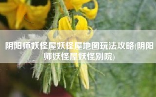 阴阳师妖怪屋妖怪屋地图玩法攻略(阴阳师妖怪屋妖怪别院)