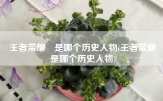 王者荣耀暃是哪个历史人物(王者荣耀暃是哪个历史人物)