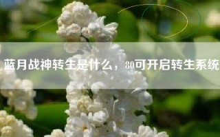 蓝月战神转生是什么，80可开启转生系统
