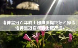 诸神皇冠百年骑士团血脉提纯怎么操作(诸神皇冠百年骑士铠改造)