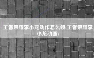 王者荣耀李小龙动作怎么领(王者荣耀李小龙动画)