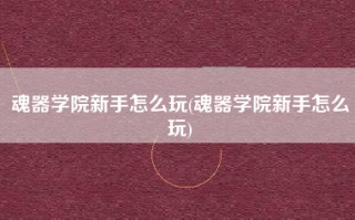 魂器学院新手怎么玩(魂器学院新手怎么玩)