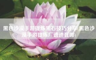 黑色沙漠手游提炼黑石技巧分享(黑色沙漠手游提炼厂遗迹在哪)