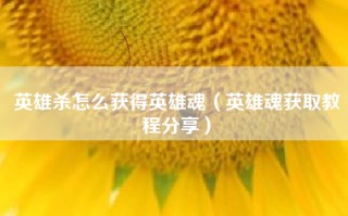 英雄杀怎么获得英雄魂（英雄魂获取教程分享）
