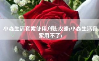 小森生活套索使用方法攻略(小森生活套索用不了)