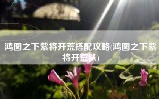 鸿图之下紫将开荒搭配攻略(鸿图之下紫将开荒队)