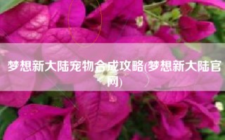 梦想新大陆宠物合成攻略(梦想新大陆官网)