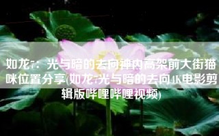 如龙7：光与暗的去向神内高架前大街猫咪位置分享(如龙7光与暗的去向4K电影剪辑版哔哩哔哩视频)