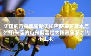失落的方舟奥雷哈夫拉巴萨星龙副本怎么打(失落的方舟奥雷哈太阳鲤鱼怎么钓不上来)